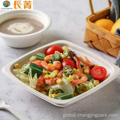 Bagasse Pulp Plate Ever Green Compostable Takeaway Salad Bowl Supplier